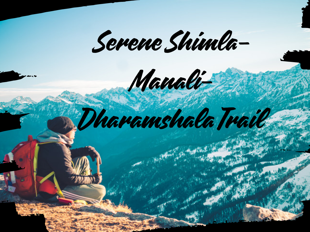 Serene Shimla–Manali–Dharamshala Trail